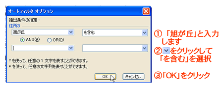 �u�I�[�g�t�B���^�I�v�V�����v�_�C�A���O�{�b�N�X